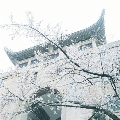 中俄艺术家携手 2024北京长城音乐会即将开幕