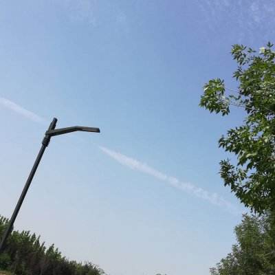 深圳福田：以红树林释放城市人文活力